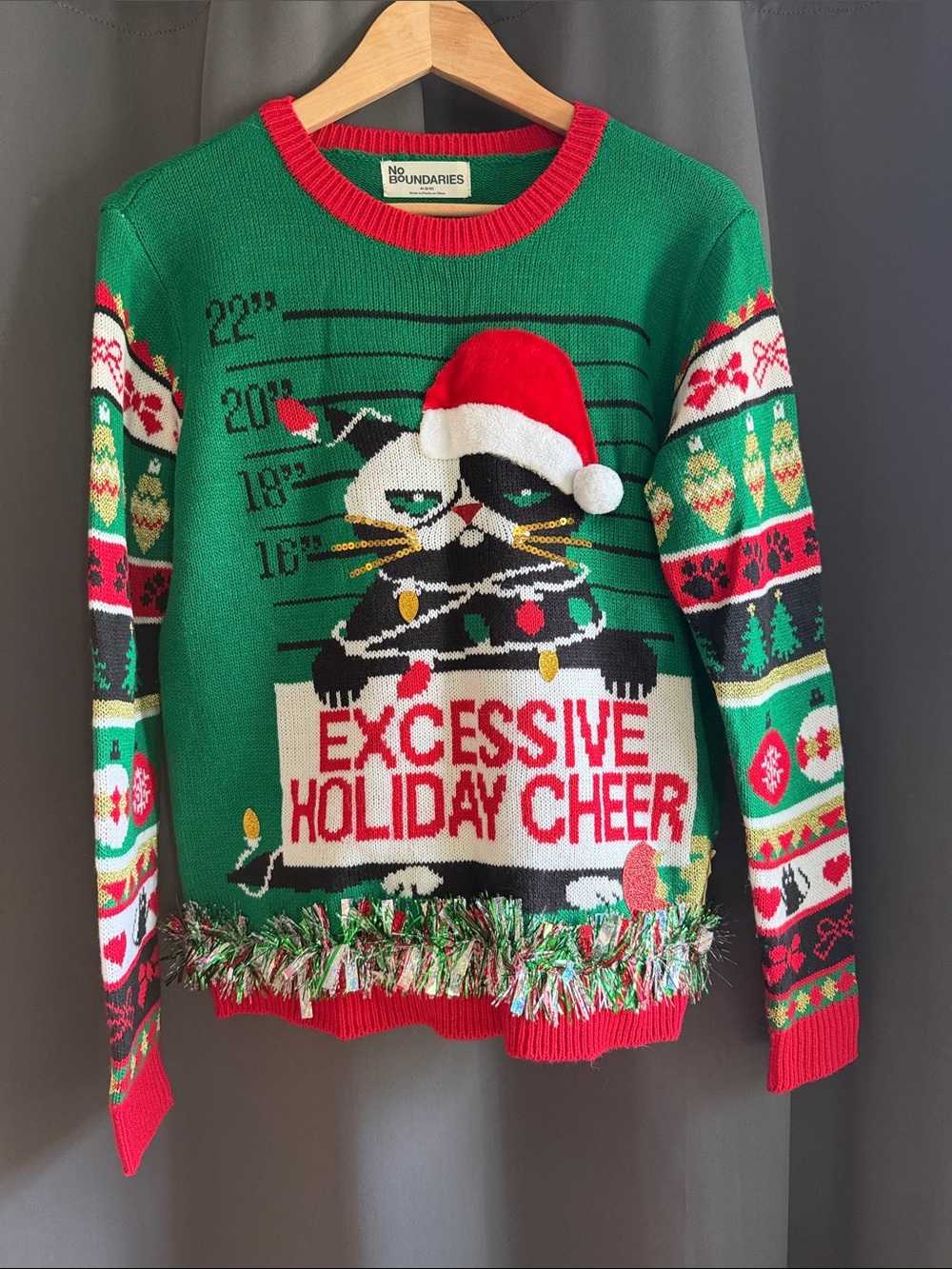 No Boundaries Green and Red Cat Holiday Sweater